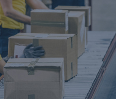 QQI Manual Handling Instructor Course